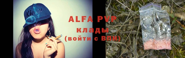 индика Костерёво