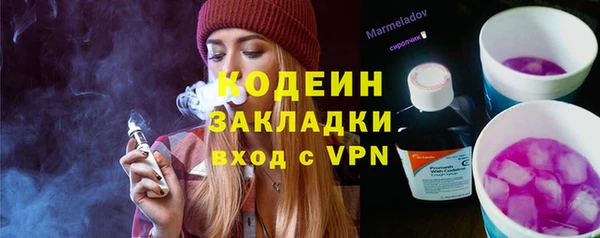 индика Костерёво