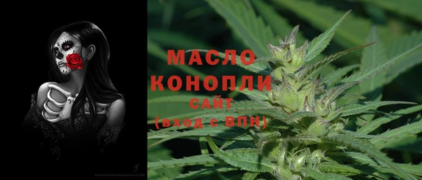 тгк Абаза