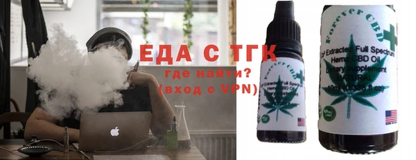 индика Костерёво
