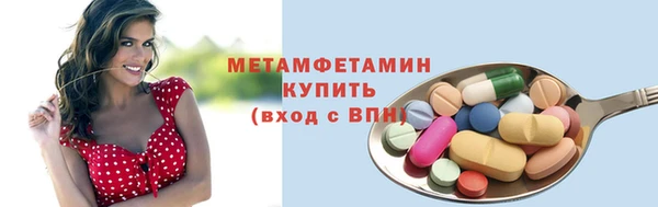 индика Костерёво