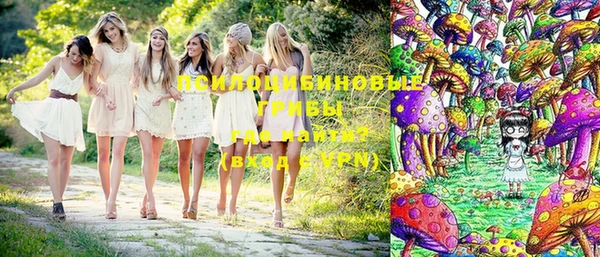 МДПВ Краснотурьинск