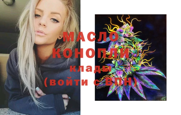 индика Костерёво