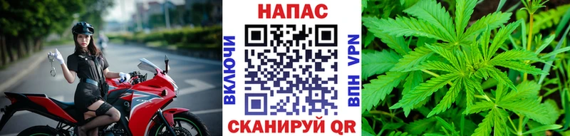 Каннабис план  купить закладку  Юрюзань 